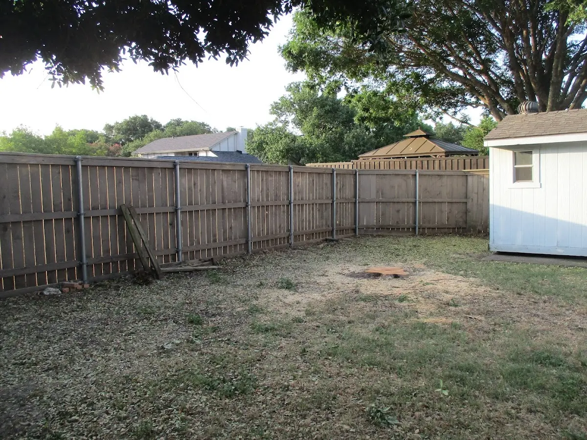 Cleared yard after professional tree removal in Isabella