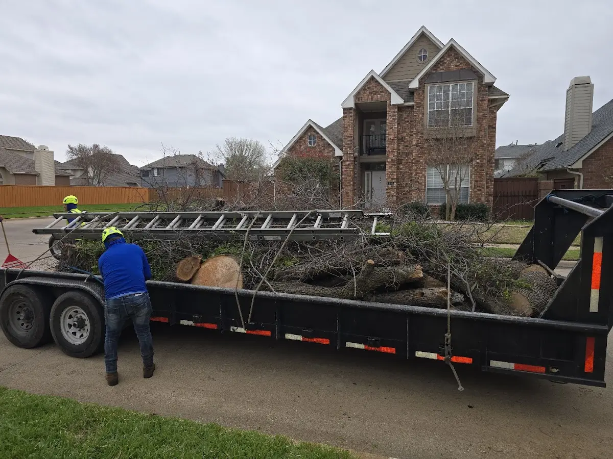 Expert Tree Fertilization with proper safety equipment in Isabella